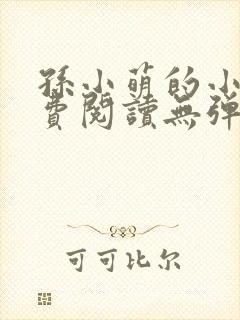 孙小萌的小说免费阅读无弹窗