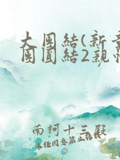 大团结(新章大团圆结2亲情会)