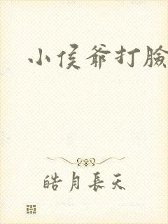 小侯爷打脸日常