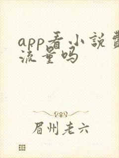 app看小说费流量吗 app看小说费流量吗