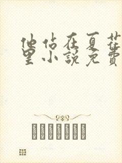 他站在夏花绚烂里小说免费阅读