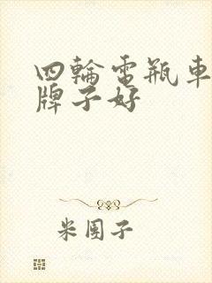 四轮电瓶车那个牌子好