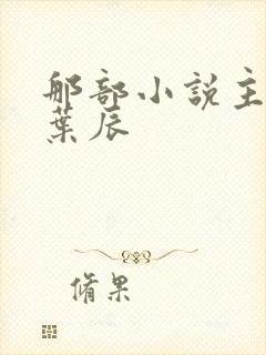 那部小说主角叫叶辰
