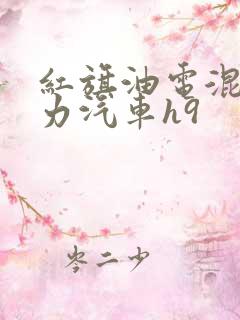 红旗油电混合动力汽车h9