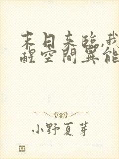 末日来临,我觉醒空间异能