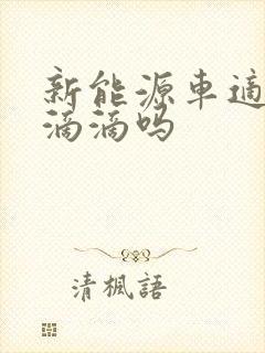 新能源车适合跑滴滴吗