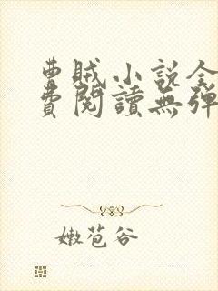 曹贼小说全文免费阅读无弹窗