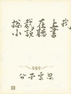 总裁在上我在下小说听书