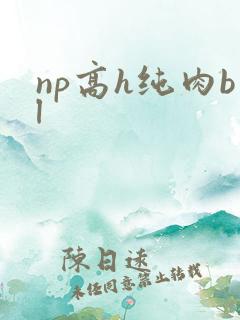 np高h纯肉bl np高h纯肉bl