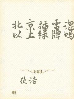 北京插电混动可以上绿牌吗