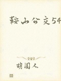 鞍山公交54路