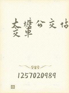 大塘公交站的公交车