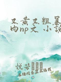 又黄又粗暴的纯肉np文 小说