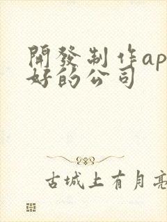 开发制作app好的公司