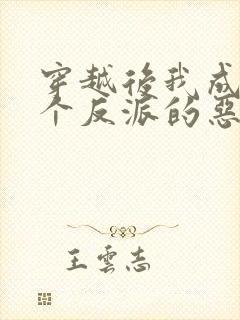穿越后我成了三个反派的恶毒后娘小说 穿越后我成了三个反派的恶毒后娘小说