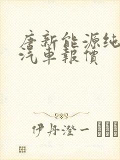 唐新能源纯电动汽车报价