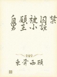 自愿被囚禁的双男主小说