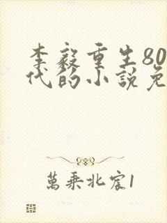 李毅重生80年代的小说免费阅读