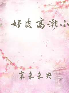 好爽高潮小说