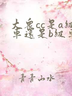 大众cc是a级车还是b级车
