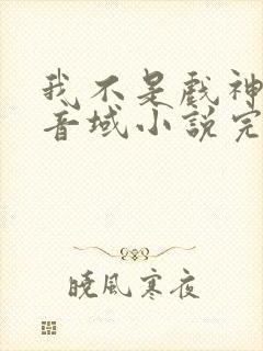我不是戏神三九音域小说完全版