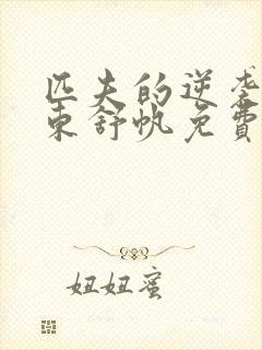匹夫的逆袭刘汉东舒帆免费阅读小说