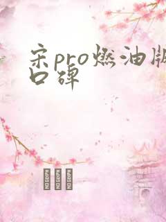 宋pro燃油版口碑