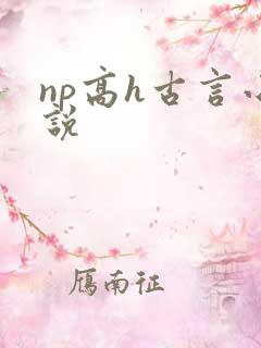 np高h古言小说