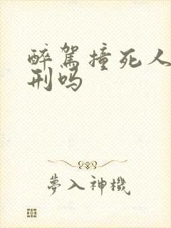 醉驾撞死人会判刑吗