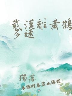 武汉离黄鹤楼有多远