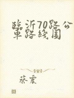 临沂70路公交车路线图
