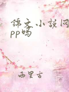 锦文小说网有app吗