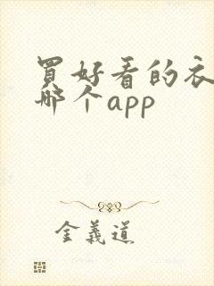 买好看的衣服去哪个app