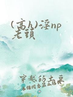 (高h)淫np老头