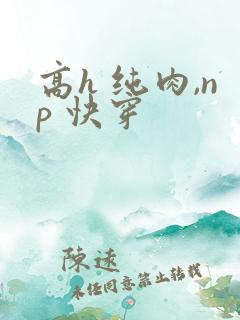 高h 纯肉,np 快穿