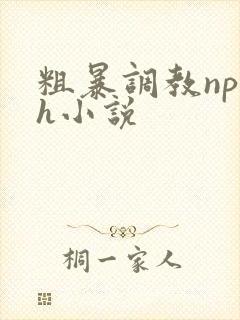 粗暴调教np高h小说