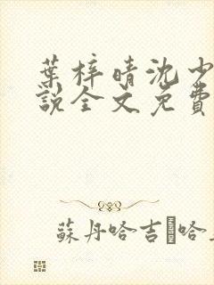 叶梓晴沈少廷小说全文免费阅读