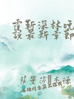 霍靳深林晚橙小说最新章节列表 霍靳深林晚橙小说最新章节列表