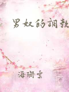 男奴的调教小说