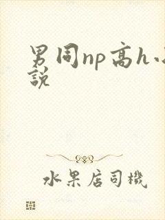 男同np高h小说