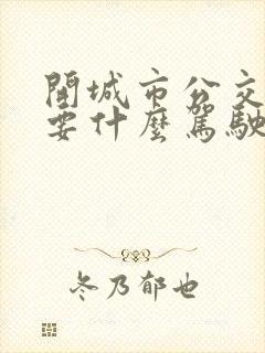 开城市公交车需要什么驾驶证