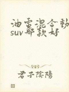 油电混合动力车suv哪款好