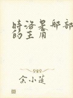 时洛是哪部小说的主角