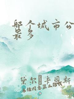 哪个城市公交车最多