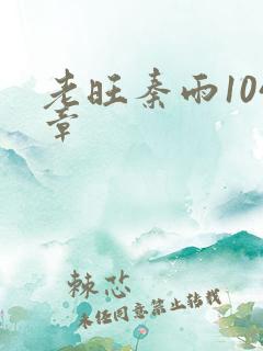 老旺秦雨104章