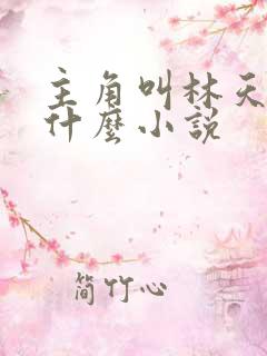 主角叫林天的叫什么小说