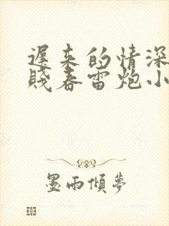 迟来的情深比草贱春雷炮小说免费阅读