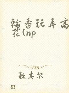 轮番玩弄高岭之花(np