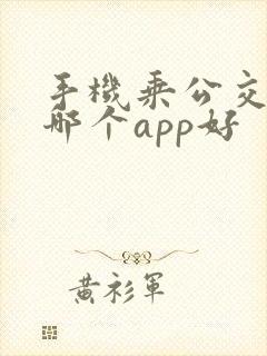 手机乘公交地铁哪个app好