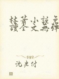 林萧小说免费阅读全文无弹窗